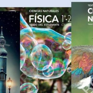 Entrega de Textos escolares